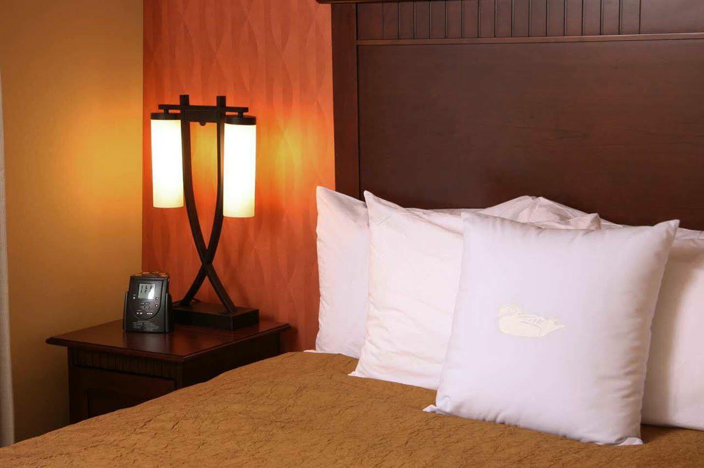 Homewood Suites By Hilton Denver International Airport Aurora Buitenkant foto